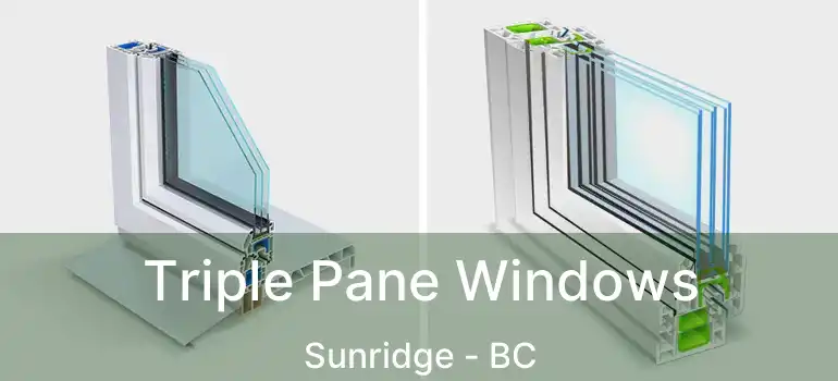  Triple Pane Windows Sunridge - BC