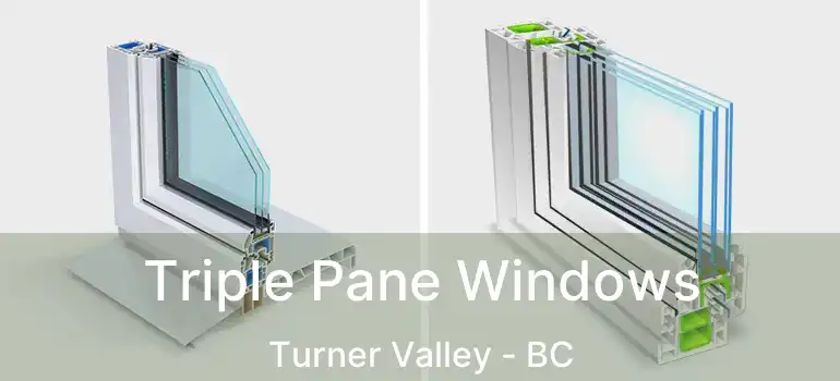  Triple Pane Windows Turner Valley - BC