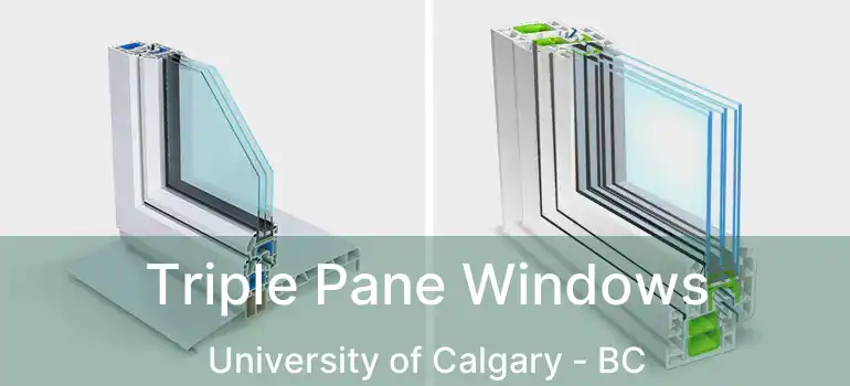  Triple Pane Windows University of Calgary - BC