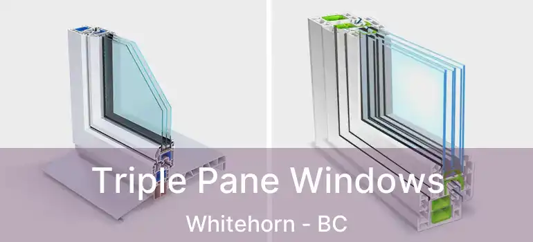  Triple Pane Windows Whitehorn - BC