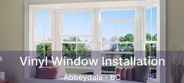  Vinyl Window Installation Abbeydale - BC