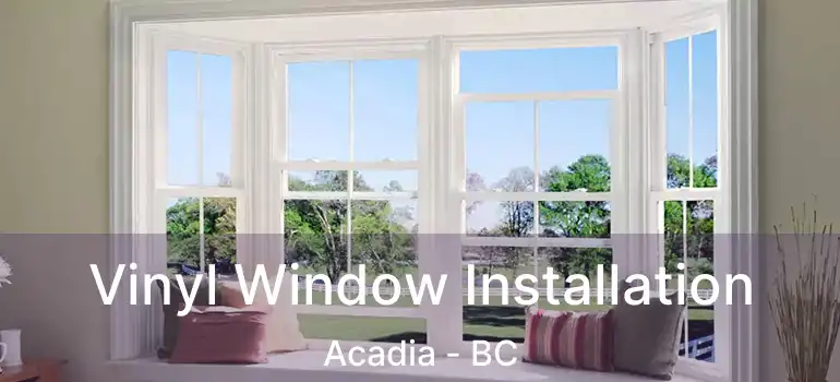  Vinyl Window Installation Acadia - BC
