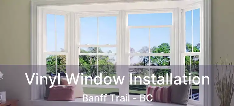 Vinyl Window Installation Banff Trail - BC
