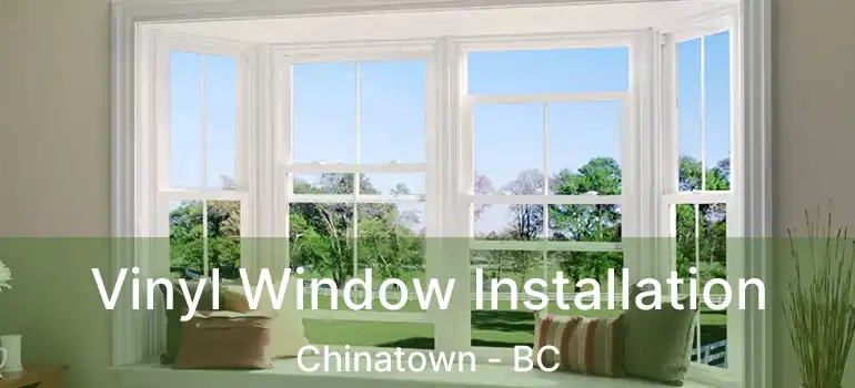  Vinyl Window Installation Chinatown - BC