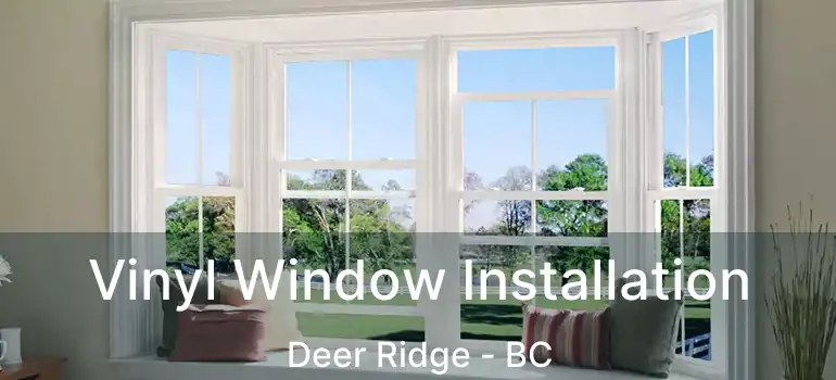  Vinyl Window Installation Deer Ridge - BC
