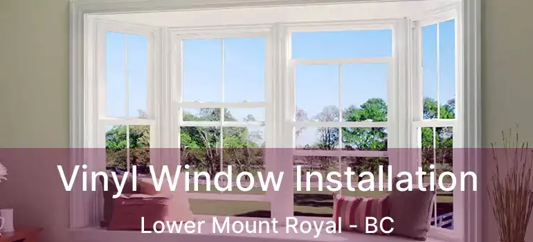  Vinyl Window Installation Lower Mount Royal - BC