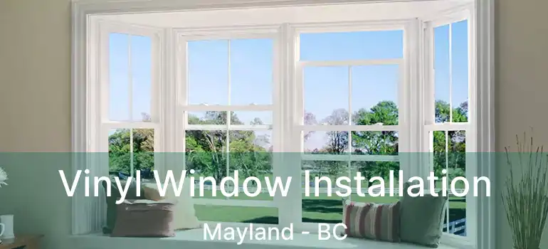  Vinyl Window Installation Mayland - BC
