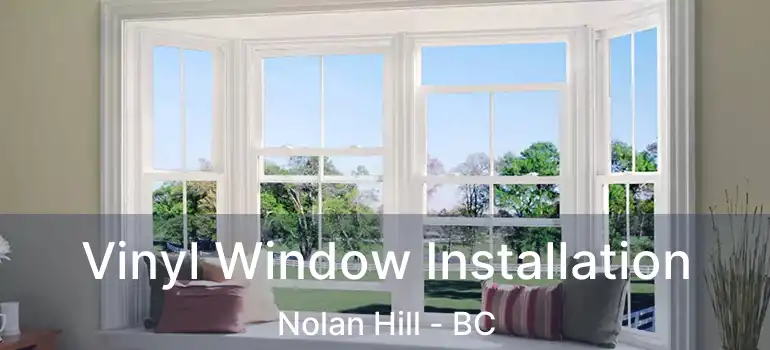  Vinyl Window Installation Nolan Hill - BC