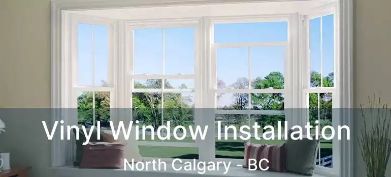  Vinyl Window Installation North Calgary - BC