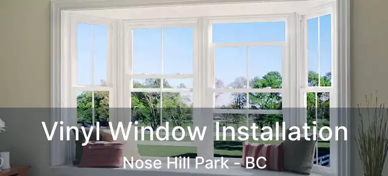  Vinyl Window Installation Nose Hill Park - BC