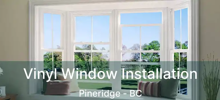  Vinyl Window Installation Pineridge - BC