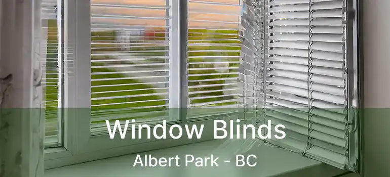  Window Blinds Albert Park - BC