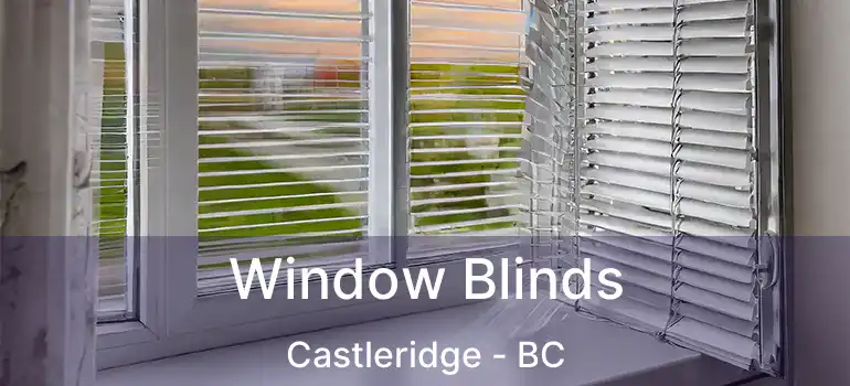  Window Blinds Castleridge - BC