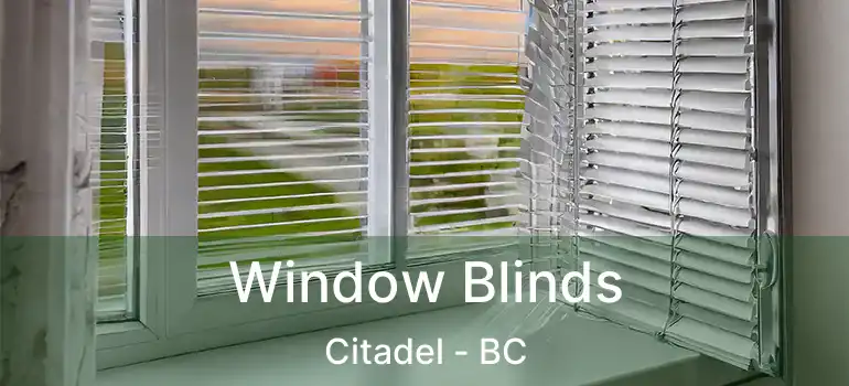  Window Blinds Citadel - BC