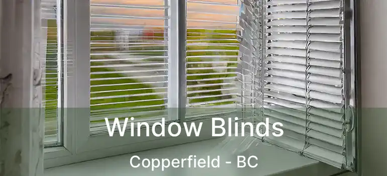 Window Blinds Copperfield - BC