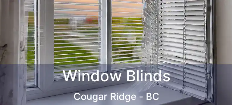  Window Blinds Cougar Ridge - BC