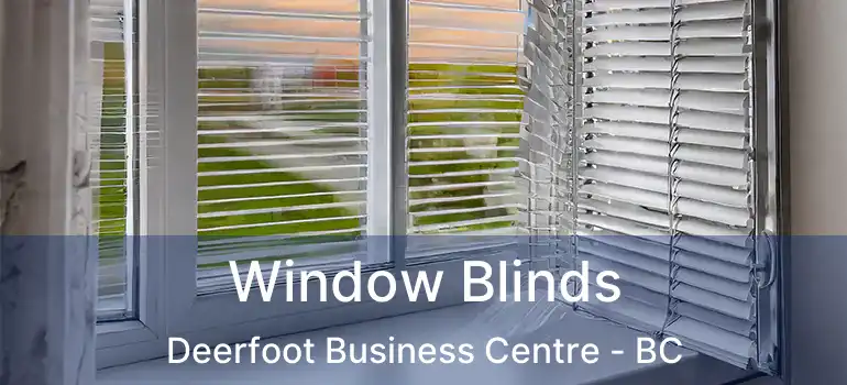  Window Blinds Deerfoot Business Centre - BC