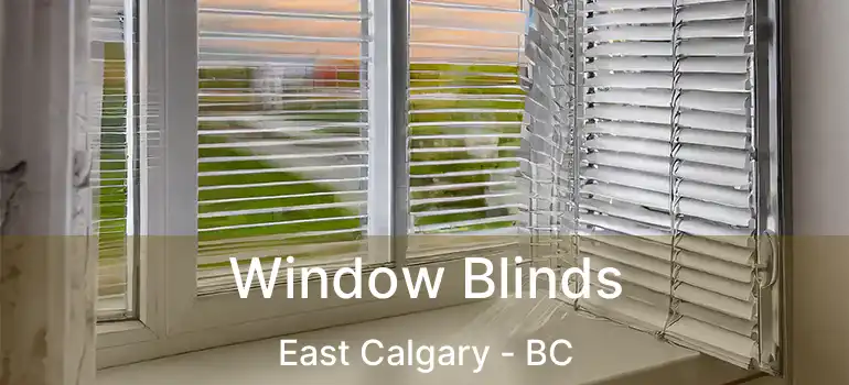  Window Blinds East Calgary - BC