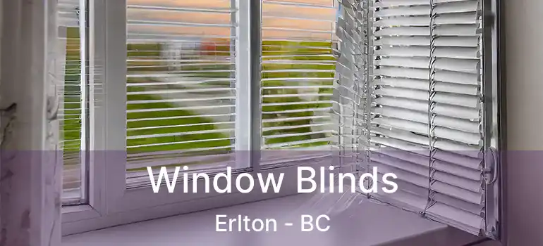  Window Blinds Erlton - BC