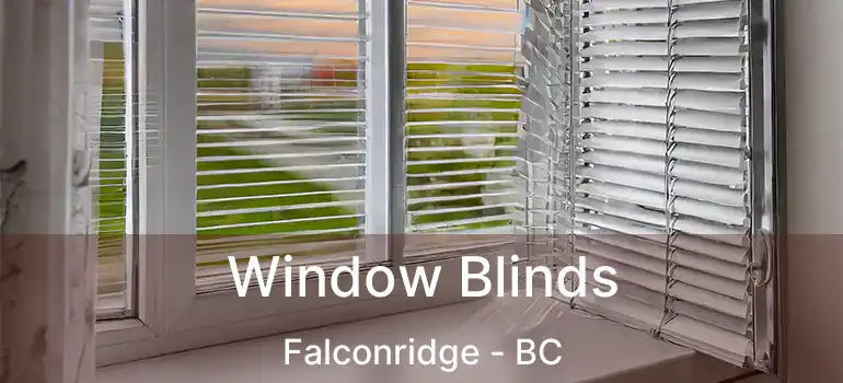  Window Blinds Falconridge - BC