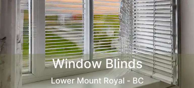  Window Blinds Lower Mount Royal - BC