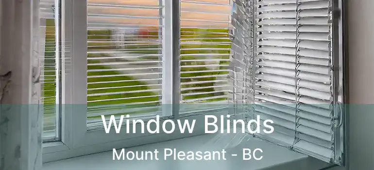  Window Blinds Mount Pleasant - BC