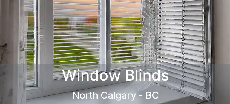  Window Blinds North Calgary - BC