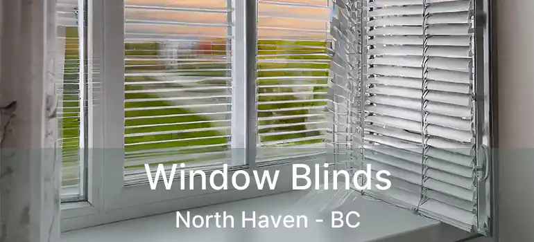  Window Blinds North Haven - BC