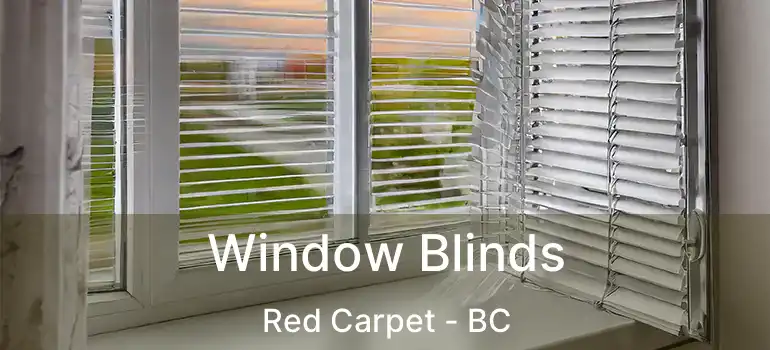  Window Blinds Red Carpet - BC