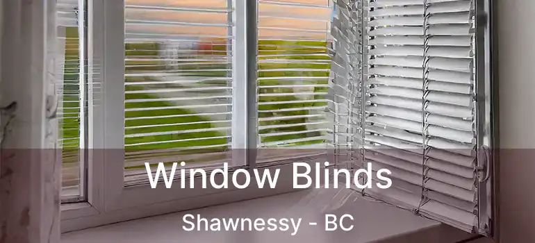  Window Blinds Shawnessy - BC