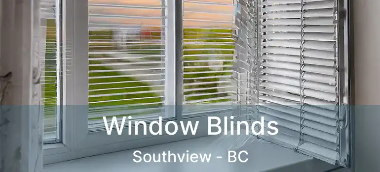  Window Blinds Southview - BC