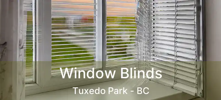  Window Blinds Tuxedo Park - BC