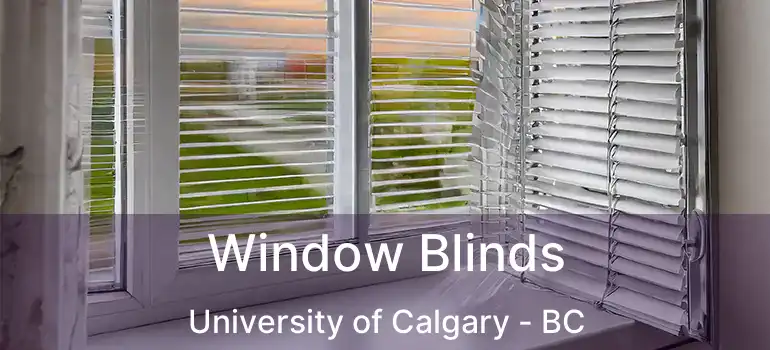  Window Blinds University of Calgary - BC