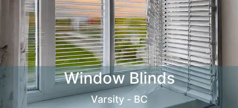  Window Blinds Varsity - BC