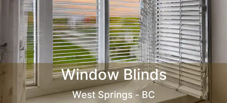  Window Blinds West Springs - BC
