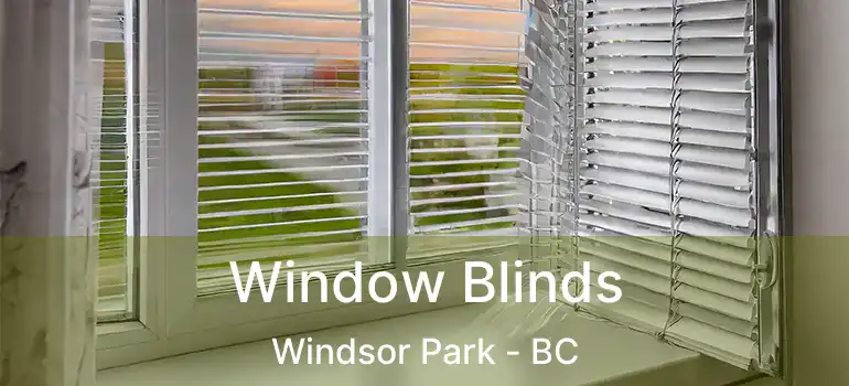  Window Blinds Windsor Park - BC
