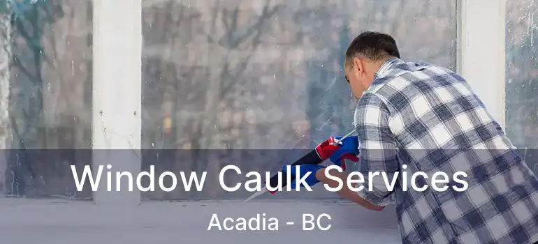 Window Caulk Services Acadia - BC