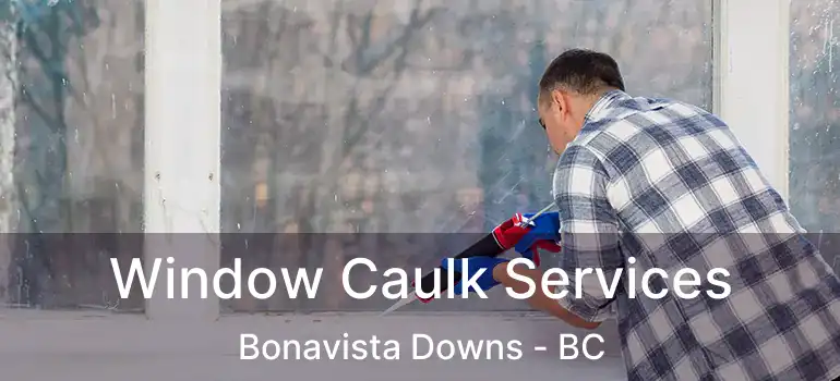  Window Caulk Services Bonavista Downs - BC