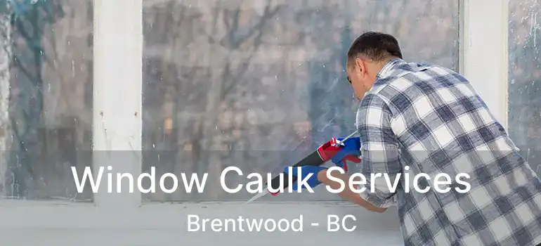  Window Caulk Services Brentwood - BC