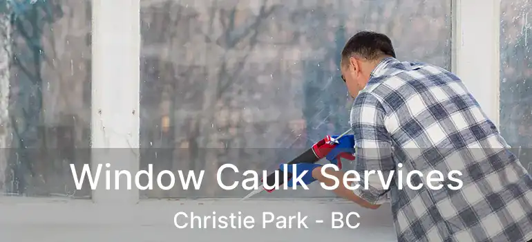  Window Caulk Services Christie Park - BC