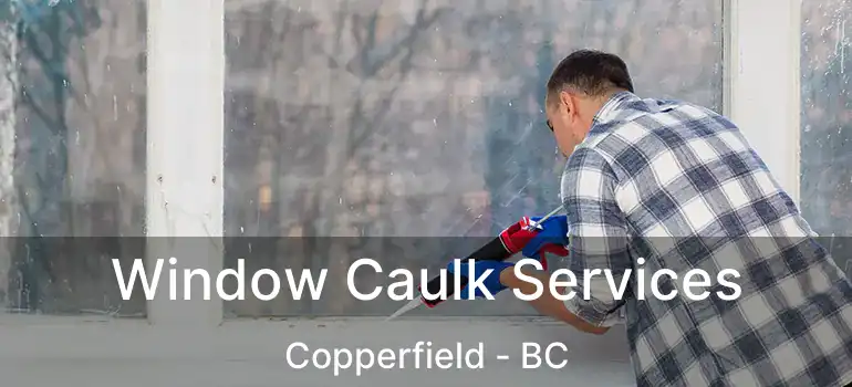  Window Caulk Services Copperfield - BC