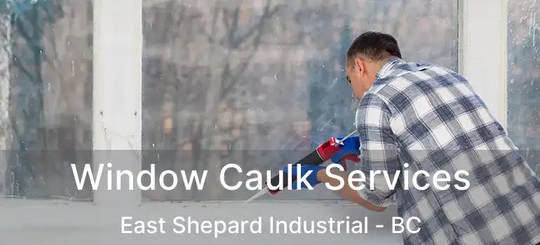  Window Caulk Services East Shepard Industrial - BC