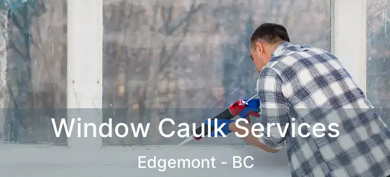  Window Caulk Services Edgemont - BC