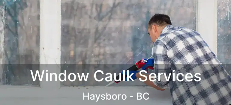 Window Caulk Services Haysboro - BC