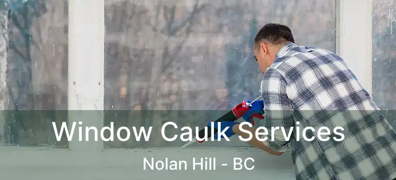  Window Caulk Services Nolan Hill - BC