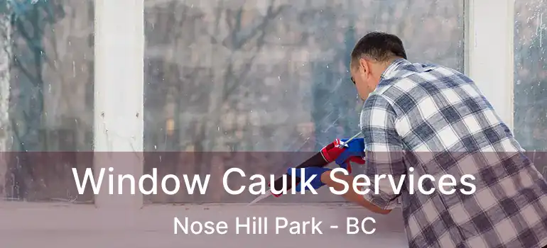  Window Caulk Services Nose Hill Park - BC