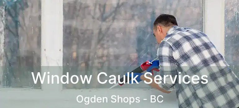  Window Caulk Services Ogden Shops - BC