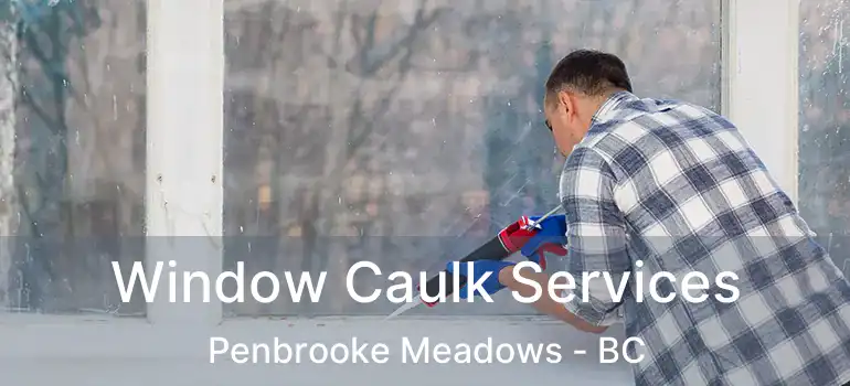  Window Caulk Services Penbrooke Meadows - BC