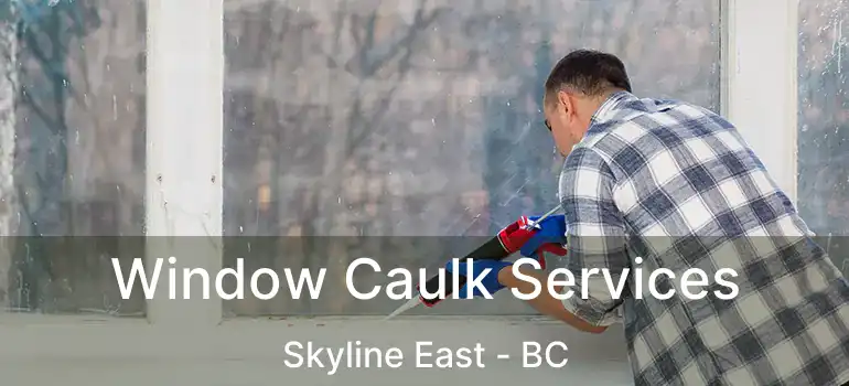  Window Caulk Services Skyline East - BC