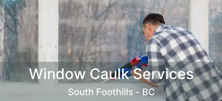  Window Caulk Services South Foothills - BC